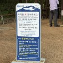 초보를 위한 한라산 관음사 코스 총정리 :: 등산 스탯별 소요 시간, 대피소 컷오프, 필수 준비물 요약