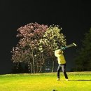 필로스 | '밥 주는 골프장' 필로스CC 야간 노캐디 벚꽃 라운딩 후기