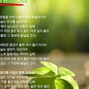 함께 부르는 음악 열풍 이미지