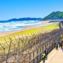 "비무장지대가 70년 만에 개방 됐어요" 16.7km 이어지는 DMZ 내부 숲길 탐방 코스 이미지