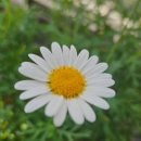 파란하늘공인중개사사무소 이미지