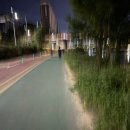 중랑천 제2체육공원 | 노원두물마루 - 중랑천 - 면목체육공원까지 야간 러닝 후기
