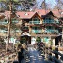 대관령자연휴양림 이미지