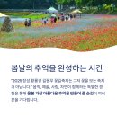 장성군 수영장 주차장 이미지