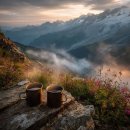 본능의 경제 이미지