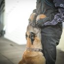 루카스독트레이닝 이미지