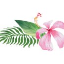 진솔세탁 이미지