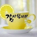 늘푸른꽃사랑