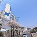신광 이미지