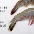 대하 이미지