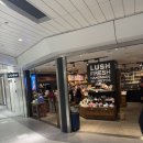 (주)유니트라이소프트 | [나고야]나고야역 러쉬 LUSH 매장 유니몰 스토어 일본 러쉬 가격차이 구매후기 나고야 쇼핑리스트...