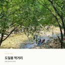 중원 | 서울 근교 계곡 물놀이 닭백숙ㅣ양평 중원계곡 도일봉먹거리 후기