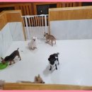 바우밸리 이미지