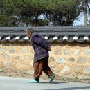 보룡1리 이미지