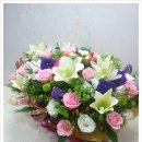 S&S메디컬 이미지