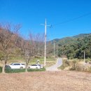 벽오동공인중개사사무소 이미지