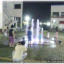 플러스 독 이미지