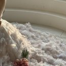 베리식스 이미지