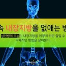 몸속 내장지방을 없애는 방법 이미지