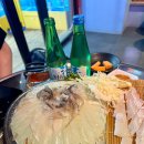 발산역 횟집 술집 통통한 오징어 회 존맛 술술 후기