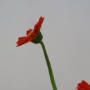 경일공업사 이미지