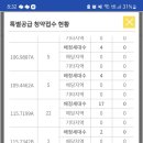 펠리스트 이미지