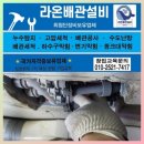 돼장금