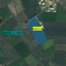 우도면사무소 이미지