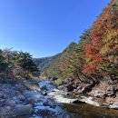 연가리맑은터 이미지