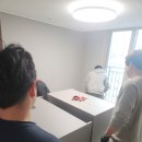 배꽃길 41 이미지