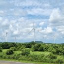 성산읍 푸른마을 이미지