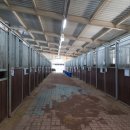 대덕승마장 이미지