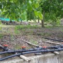 현농장2 이미지