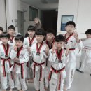 용인대태권도 청우체육관 네이버블로그