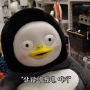 옛날서울불고기 이미지