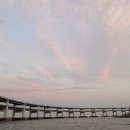 구구롤러카페 이미지