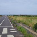 최남단해안로 이미지