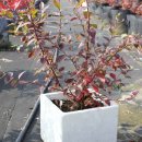 시냇물 농장 이미지