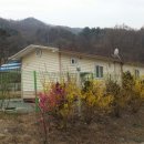 개나리농장 이미지