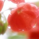 이미지 - 논산시 논산평야로 1042-9 | 이미지