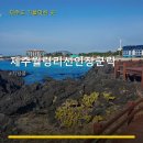 제주 월령리 선인장군락 | 제주월령리선인장군락