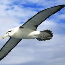 알바트로스골프장 이미지