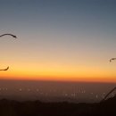 평화로(1) 이미지