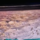 스노우가든 이미지