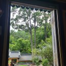 삼척 천은사 신흥사 이미지
