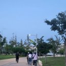 개뭉치반려견센터 - 여수시 충무로 73 | 개뭉치반려견센터