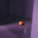 미스터리닭강정 이미지