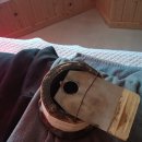 숲속이레한의원 이미지