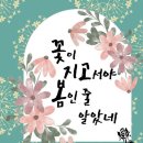 봄의언덕 네이버블로그