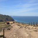 땅끝마을 이미지